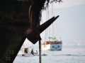 Split-Croatia-Shipwrecks-Marjan Park (5)