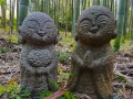 Faith-Arashiyama-Bamboo-Forest