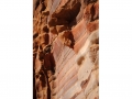 Petra