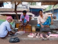 Odisha - Who runs the world? Cooks!