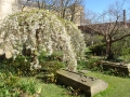 Bristol Cathedral (4)