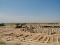 Persepolis-From-up-here-I-can-see-it-all