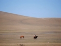 Mongolia, Panorami