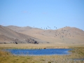 Mongolia, Panorami